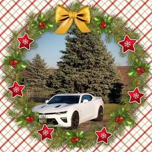 Meet your Posher, Annmarie